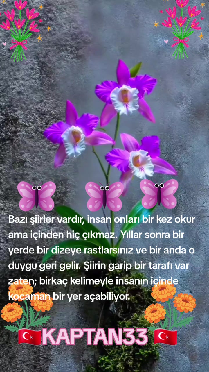 @EFSANE&KAPTAN
