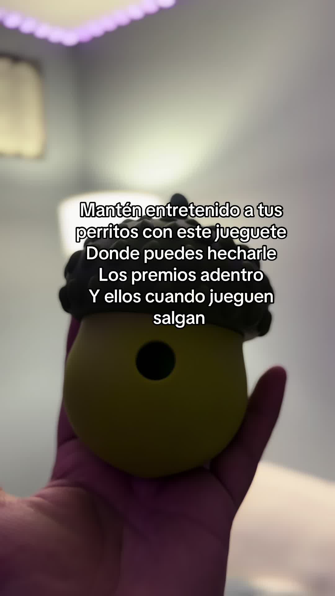 @katia_diaz0011