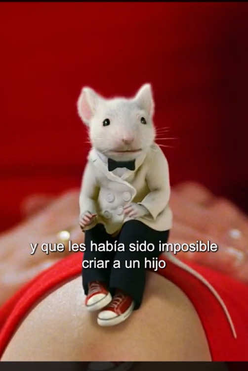 @vvv123456