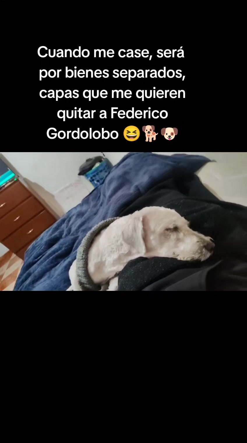 @ICO (Federico)