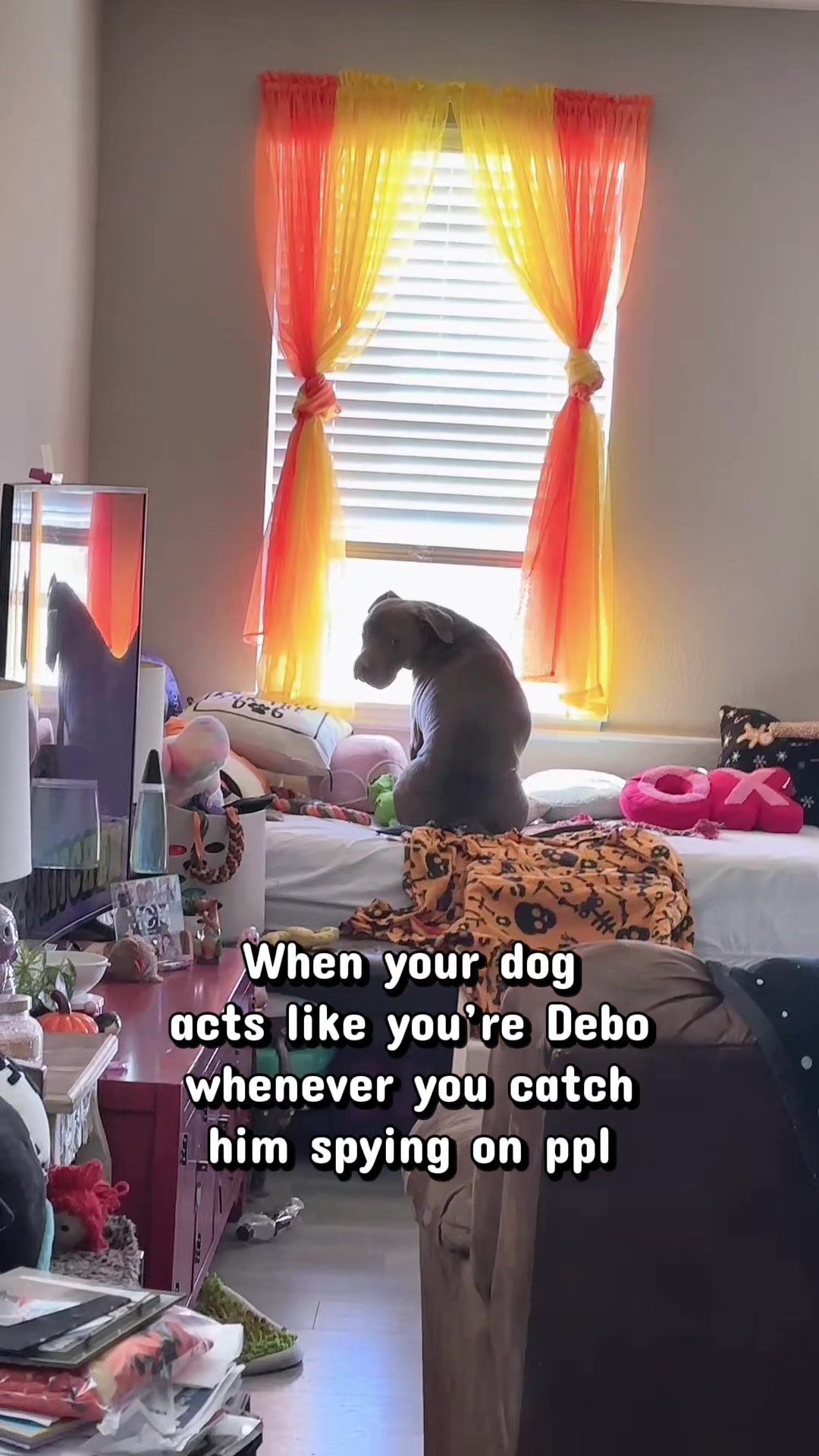 @ADHDgoesWoman