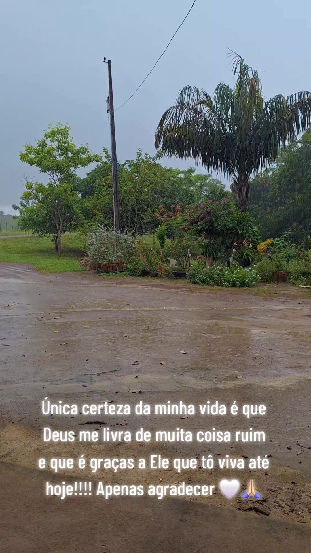 @Ju