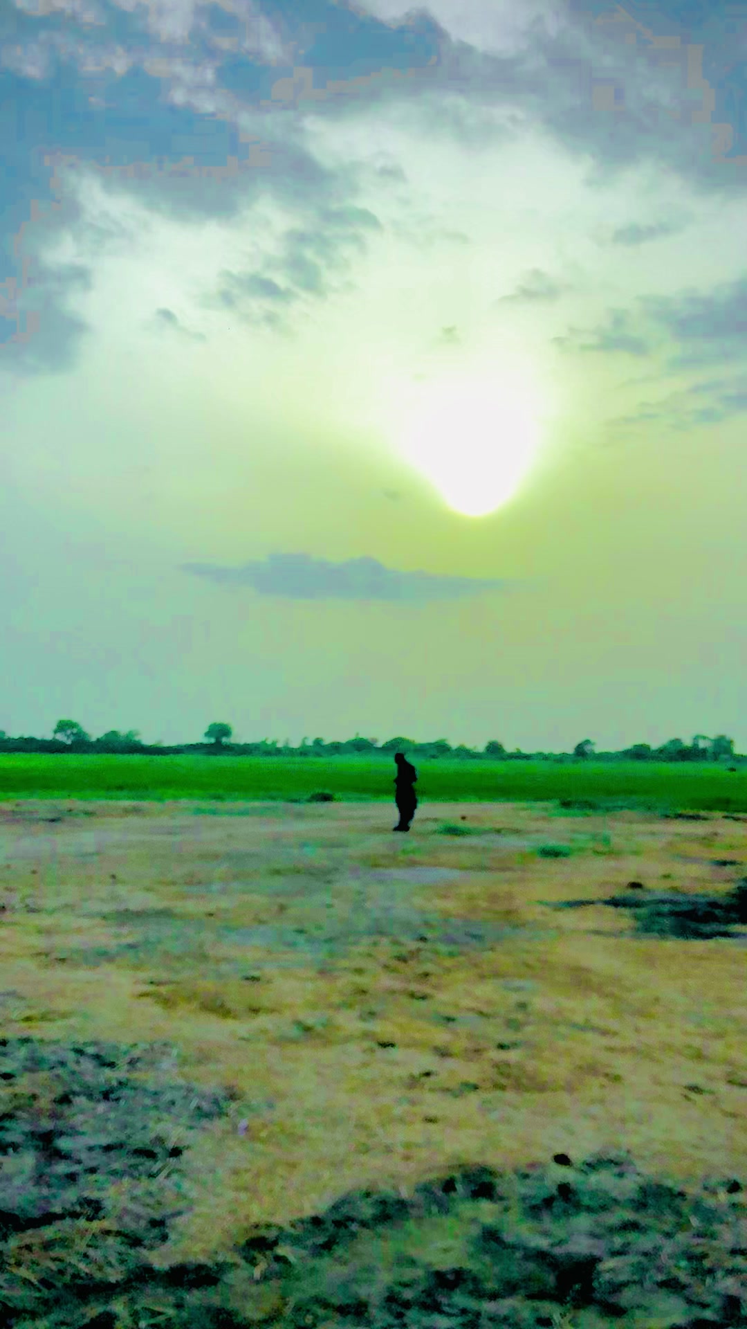 @شوکت علی