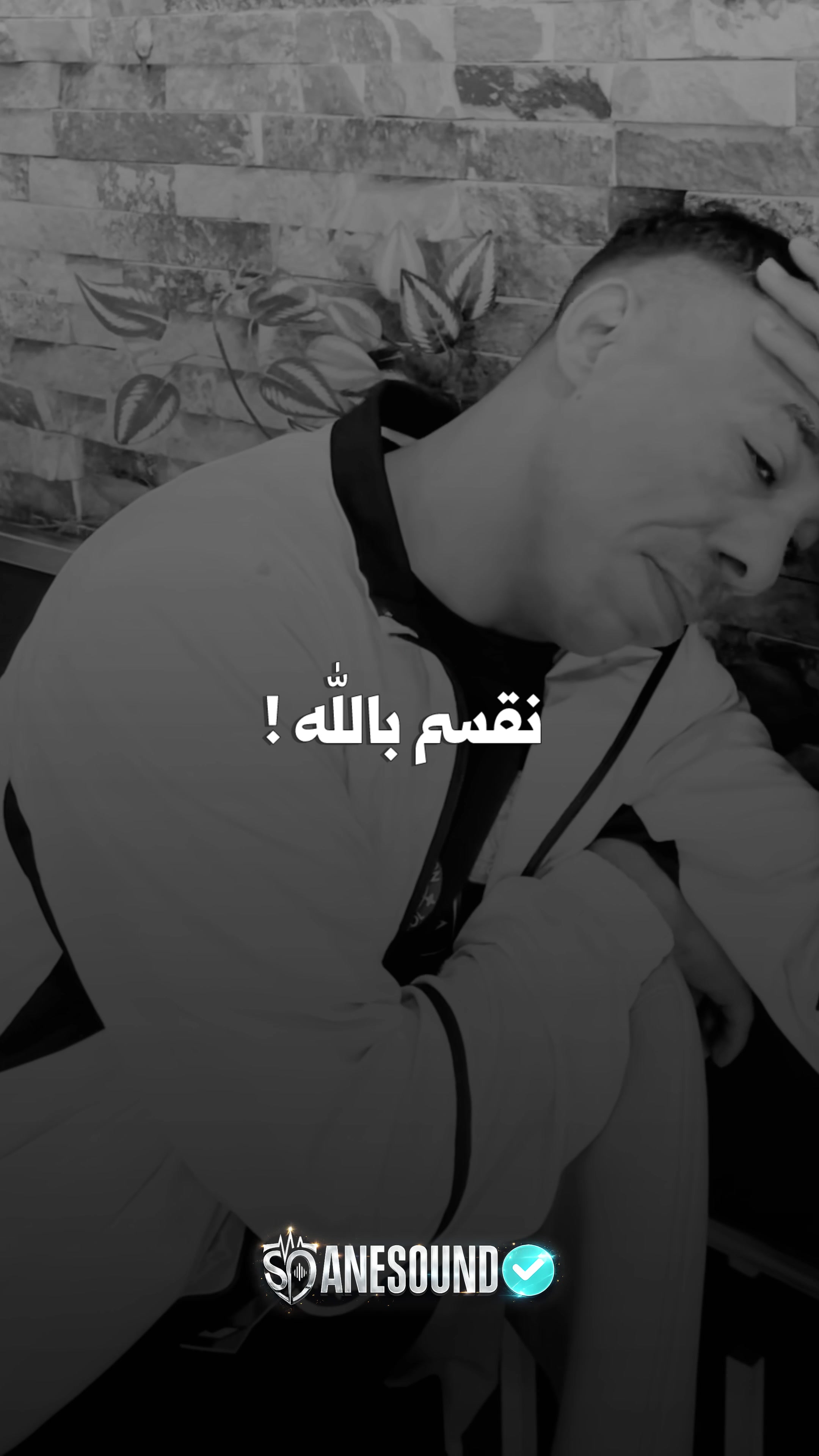 @⚜️ AneSound 2 ⚜️