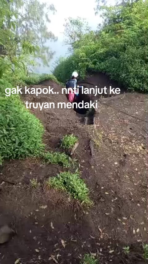 @arsih