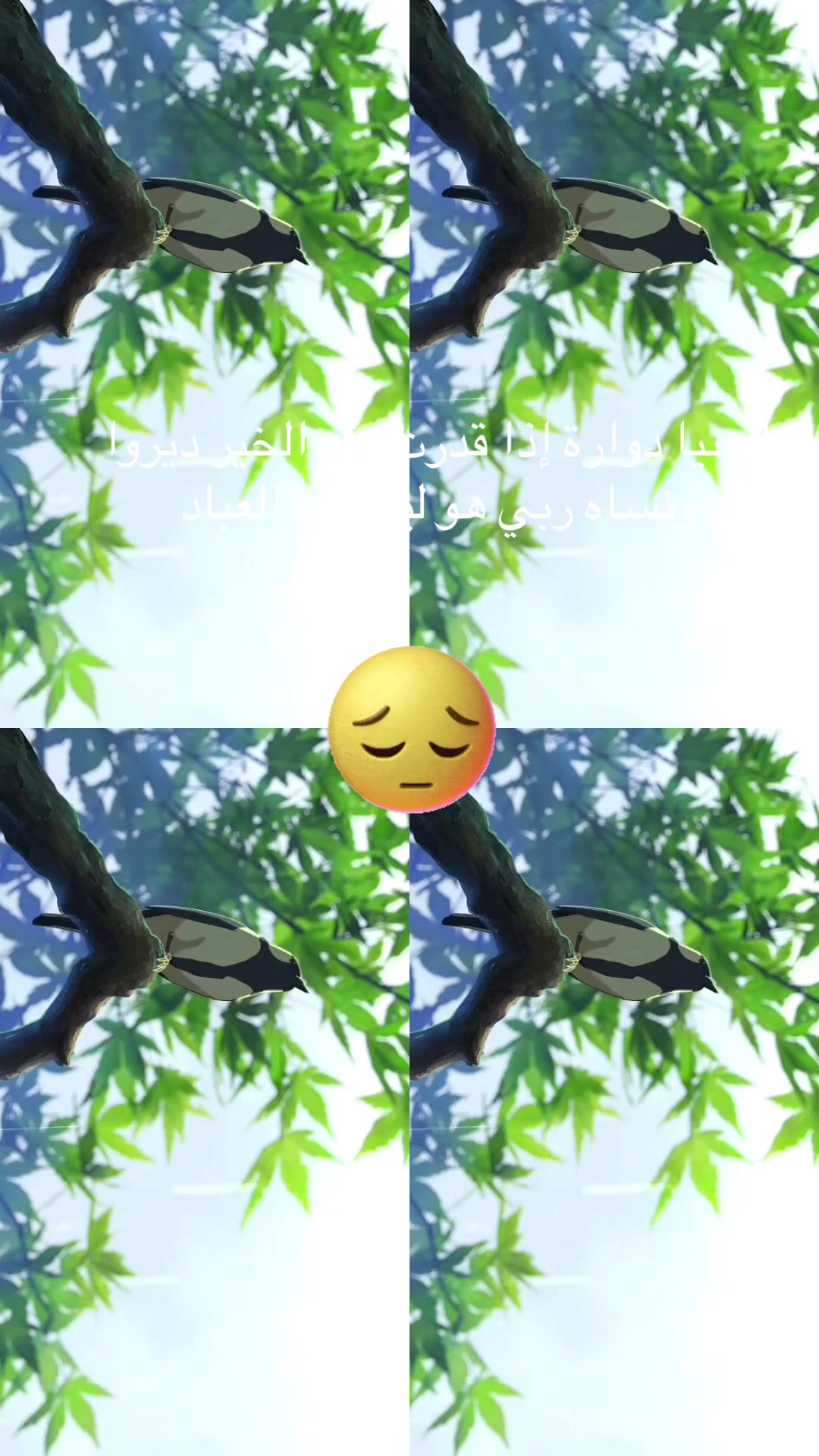 @Nounou🌹💐🌷