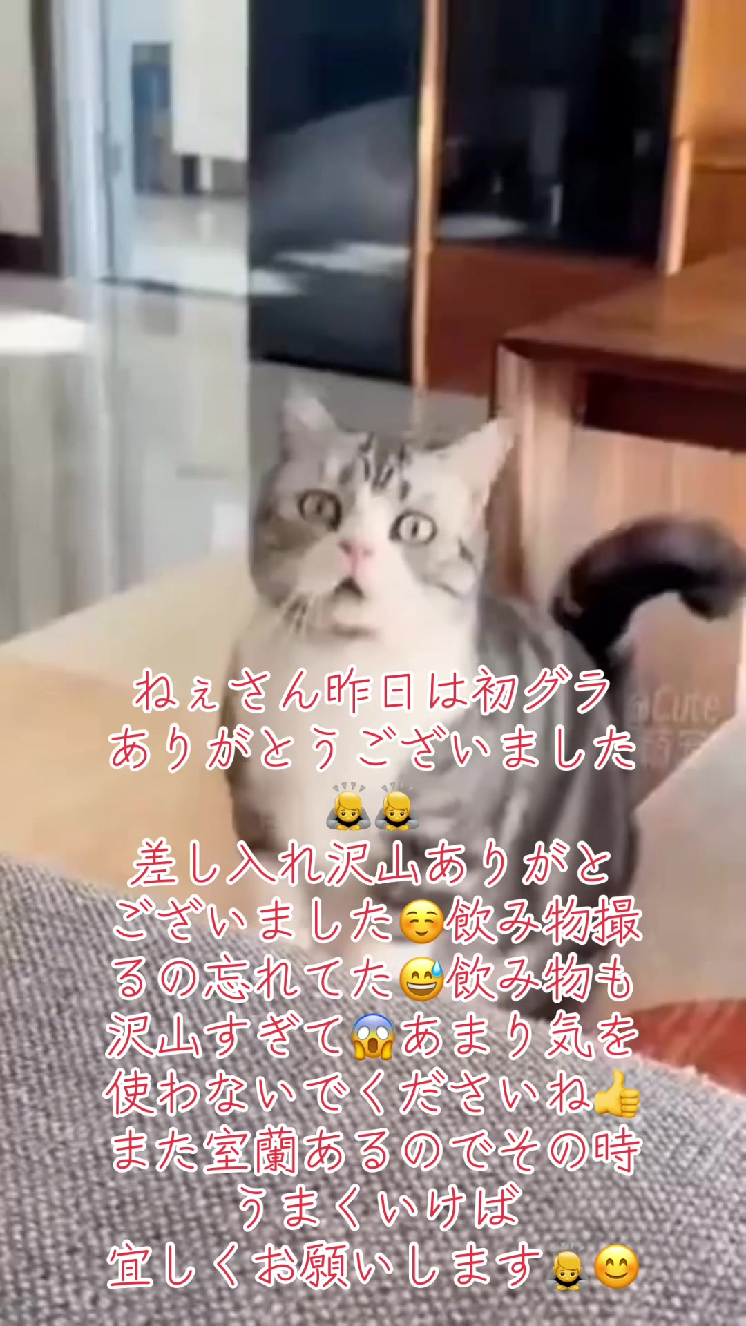 @🌸北のカリスマ桜丸🌸
