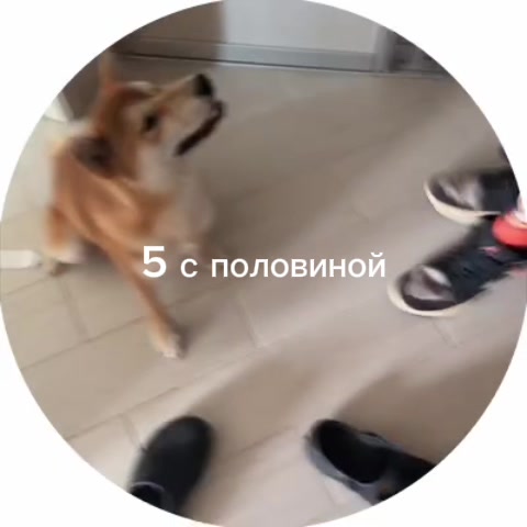 @water_ coconut🌑