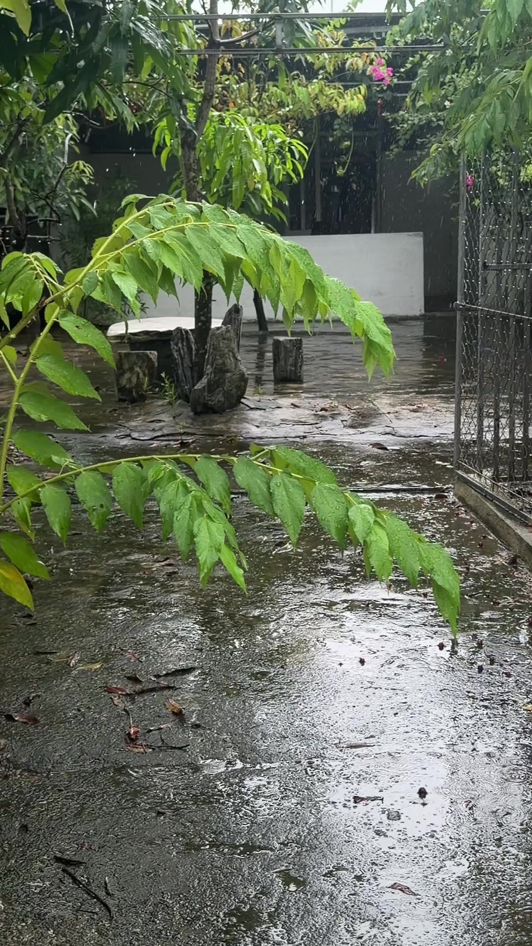 @Quốc khánh