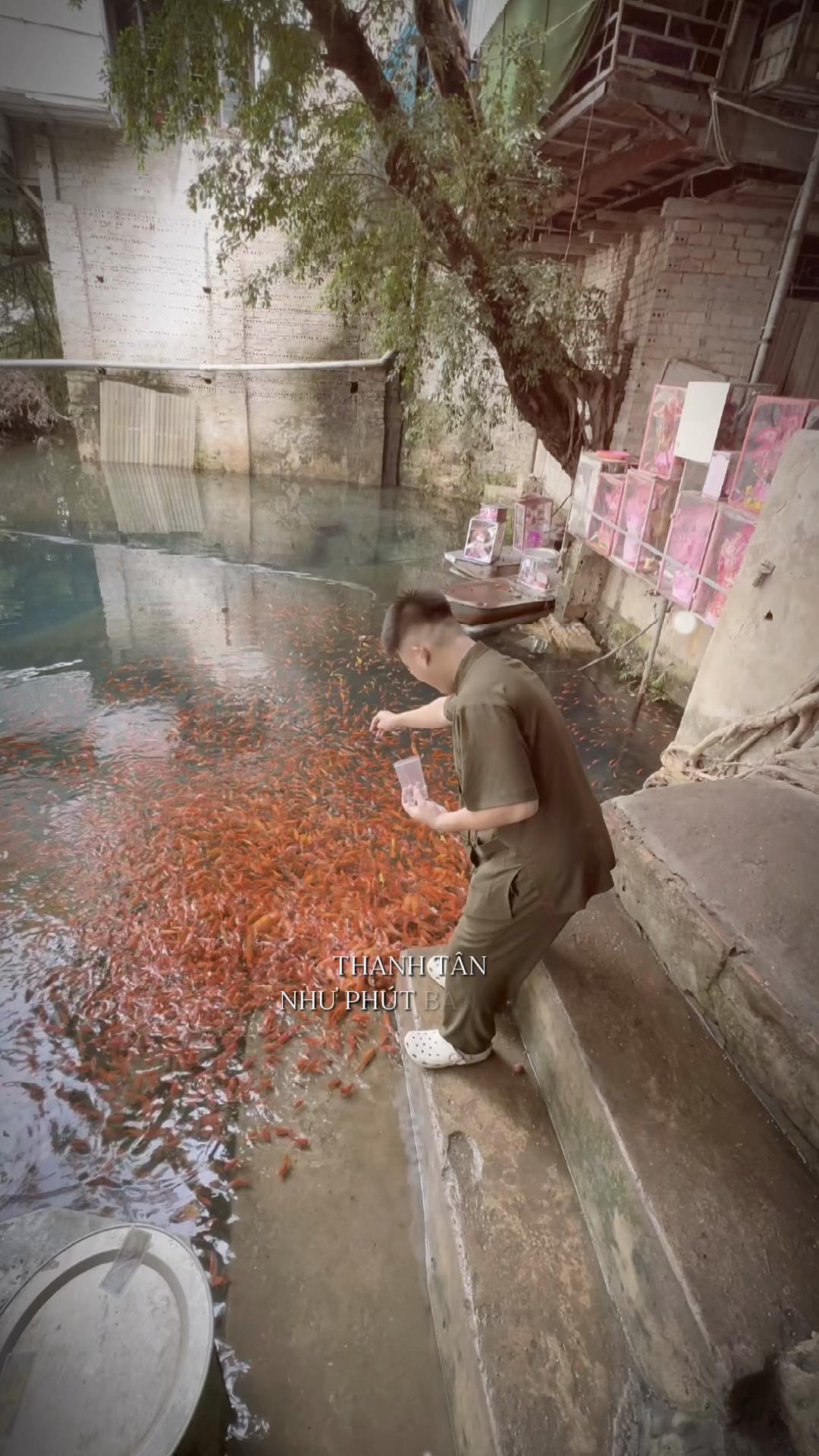 @Quân Nguyễn