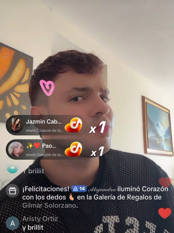 @AniEli