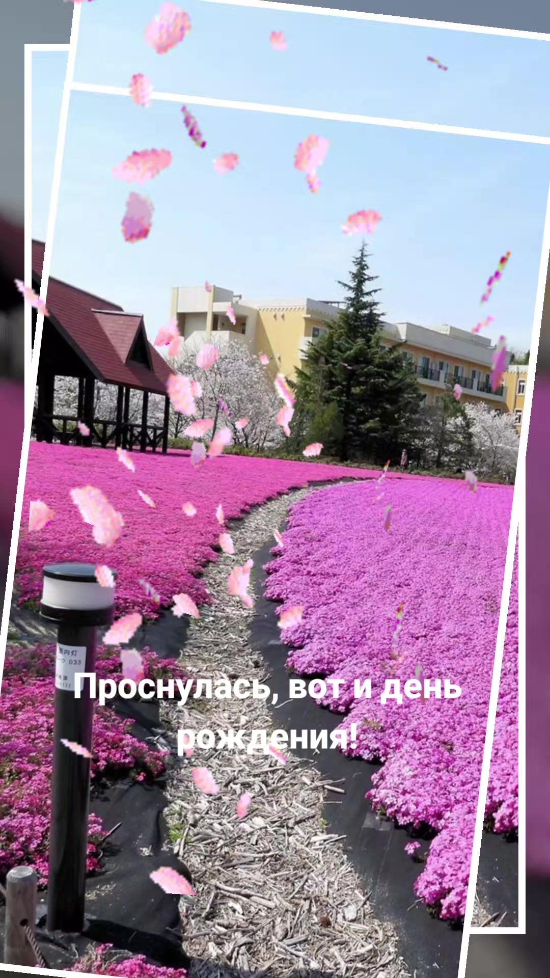 @Мила Телец.