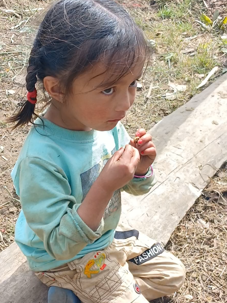 @Bimalkafle🇳🇵🇳🇵