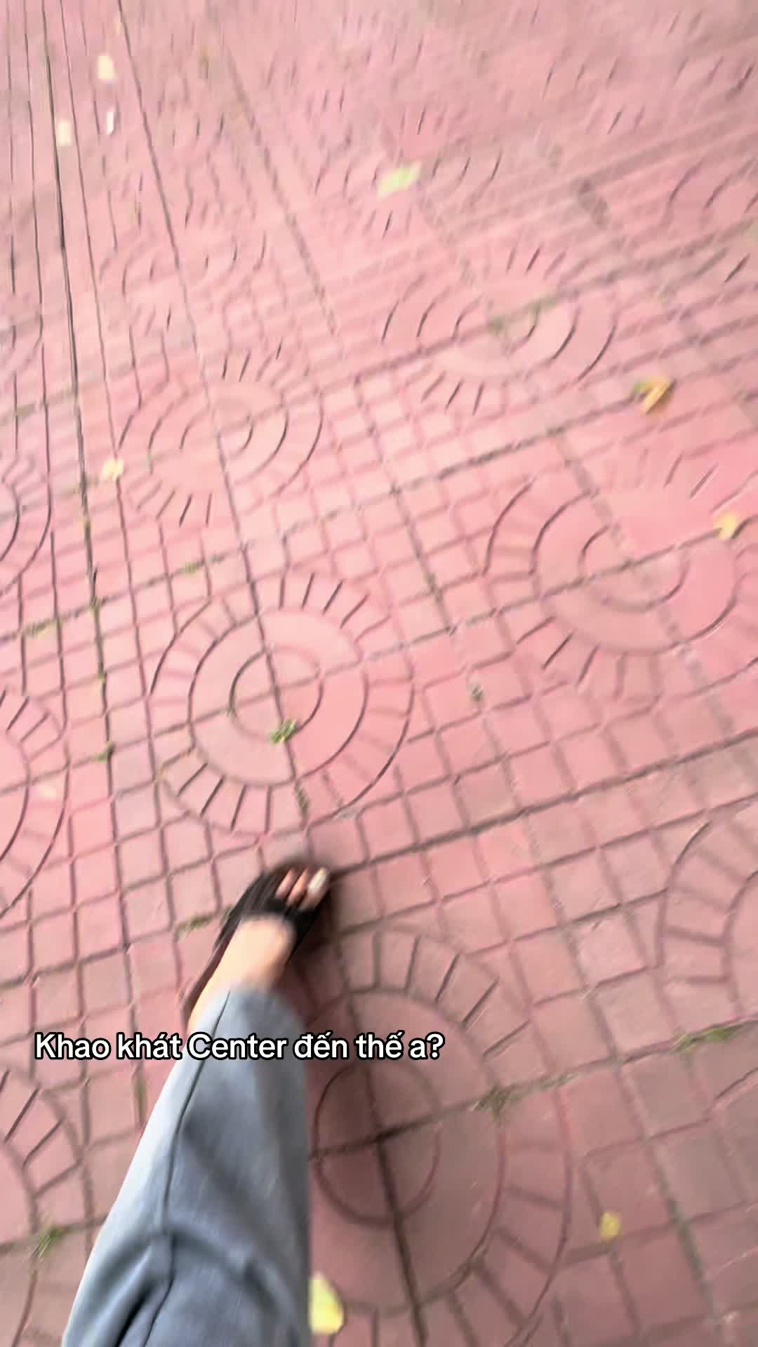 @Tiến Ni&ecirc; 🐰