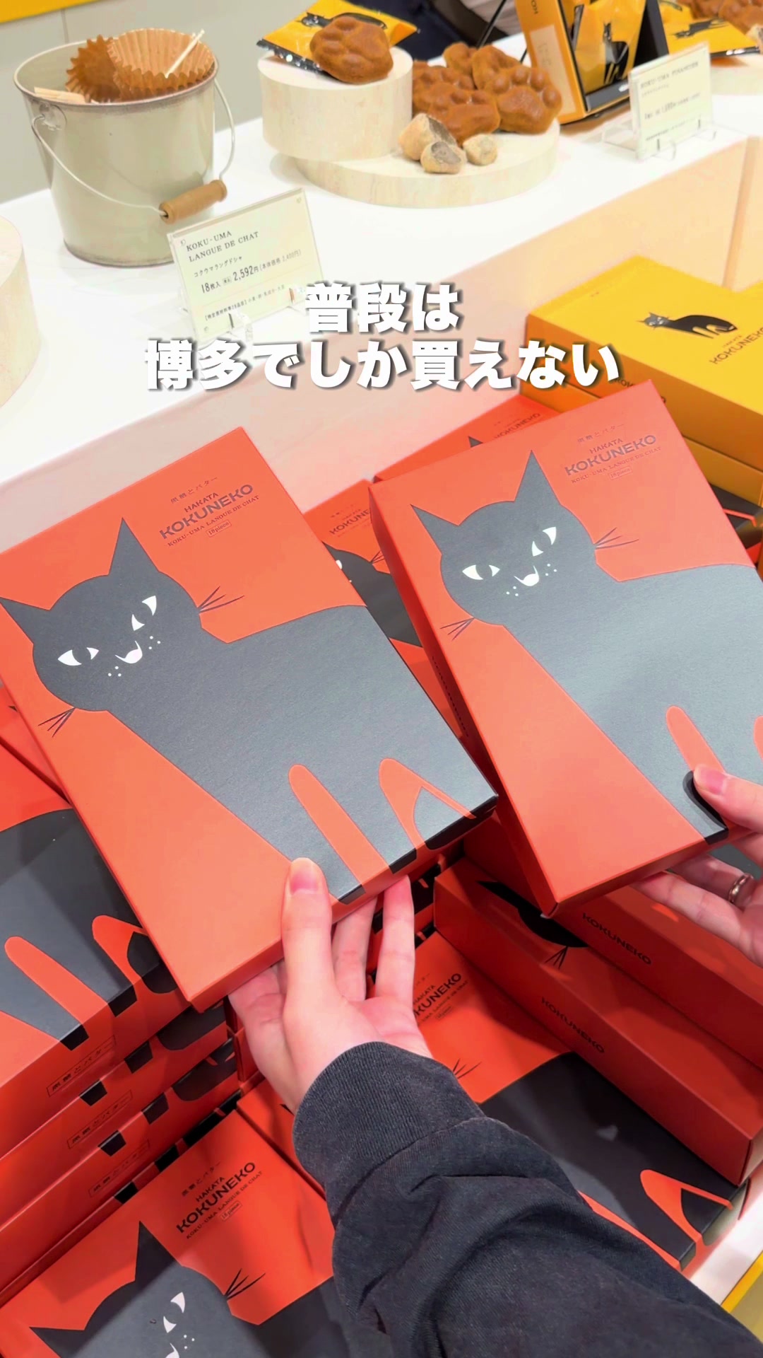 @ぎゃらぴか