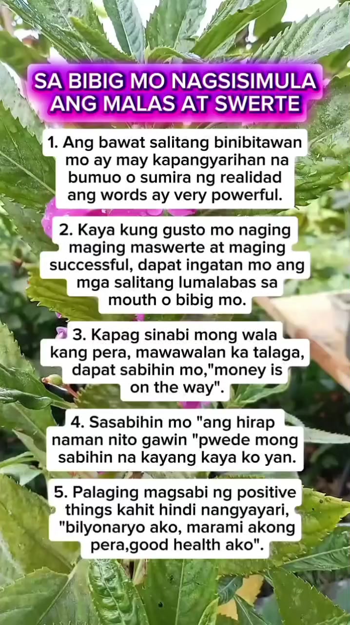 @🐝Tala Hives🐝