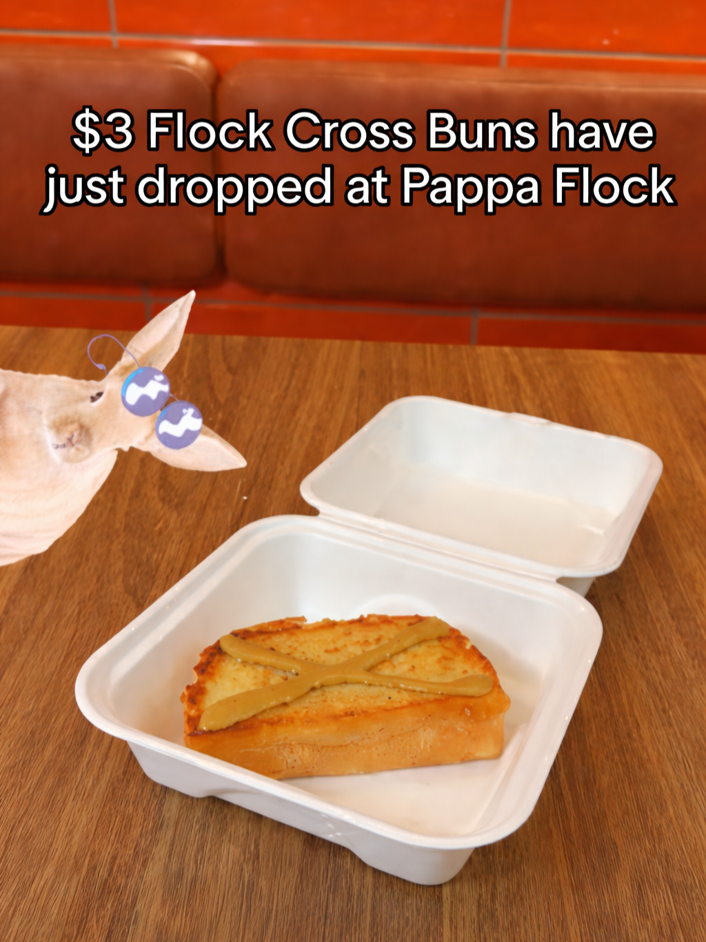@Pappa Flock