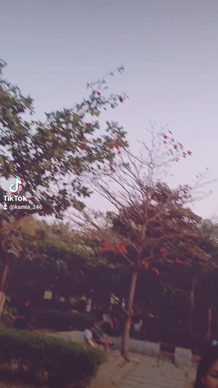 @kamala 123