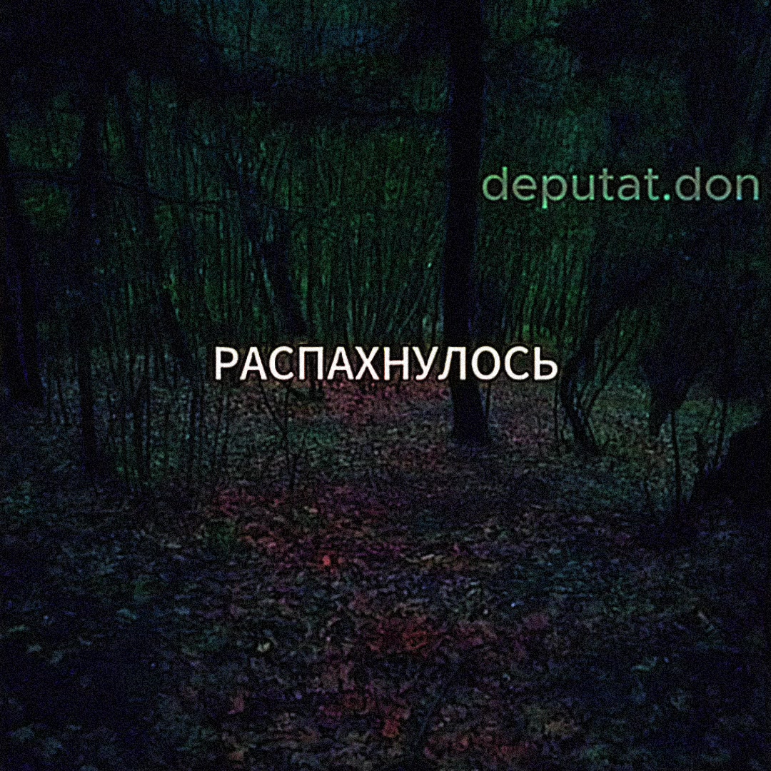 @Депутат Дон