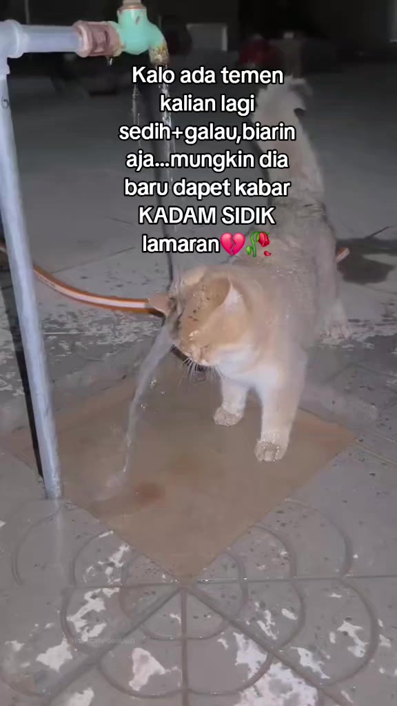 @itsmee