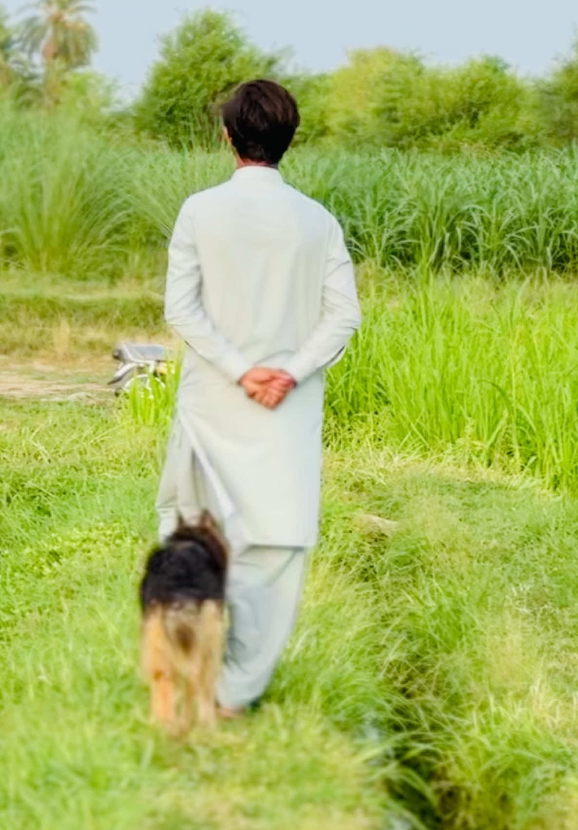 @🥀سردارملک شاویز کانجو🥰