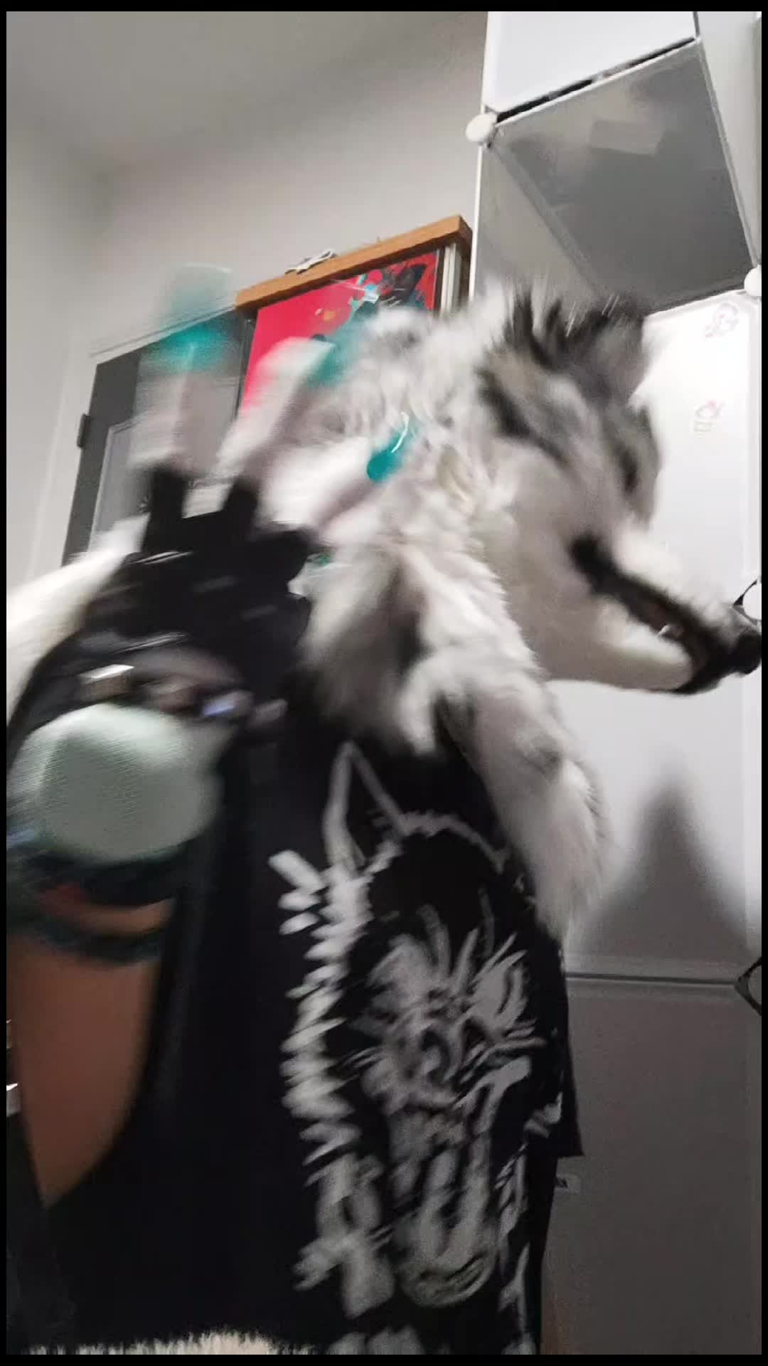 @Shysako.Fur