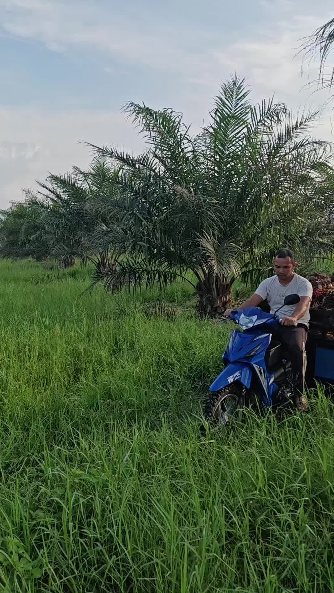 @Pok Uda