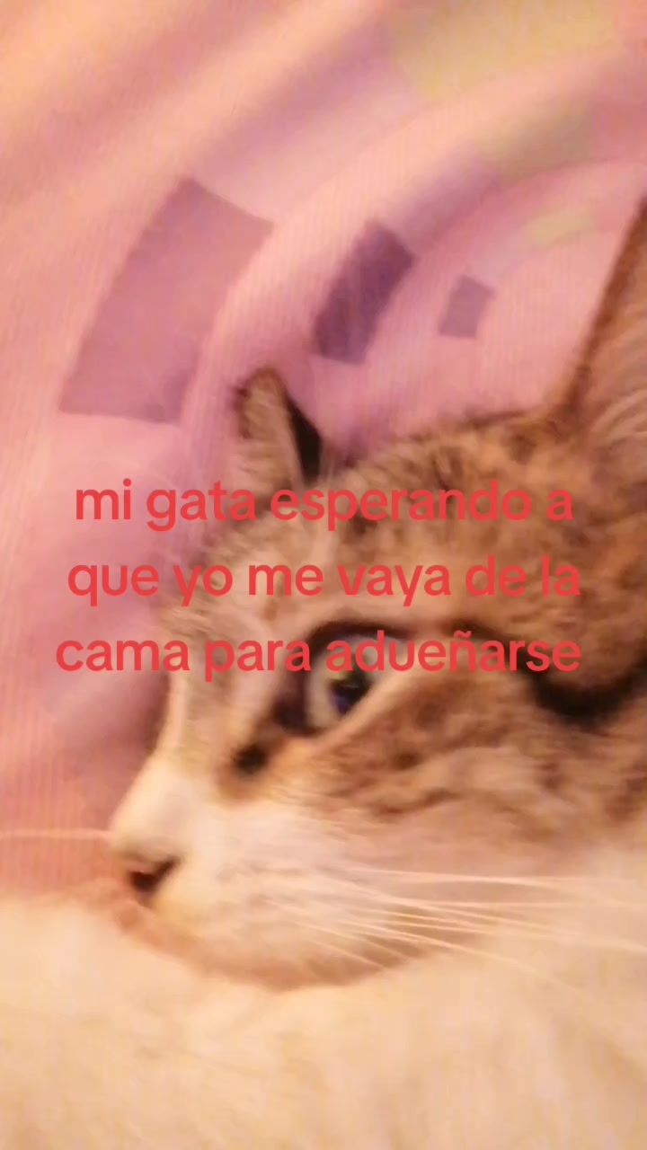 @GUZ