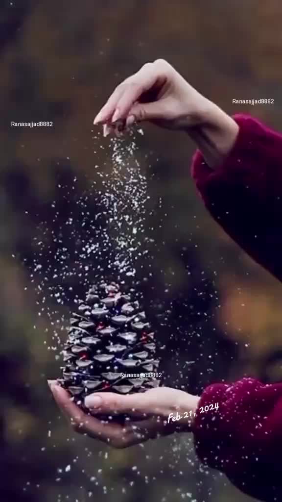 @✫@𝙨𝙖𝙟𝙟𝙖𝙙𝙬𝙧𝙞𝙩𝙚𝙨✫