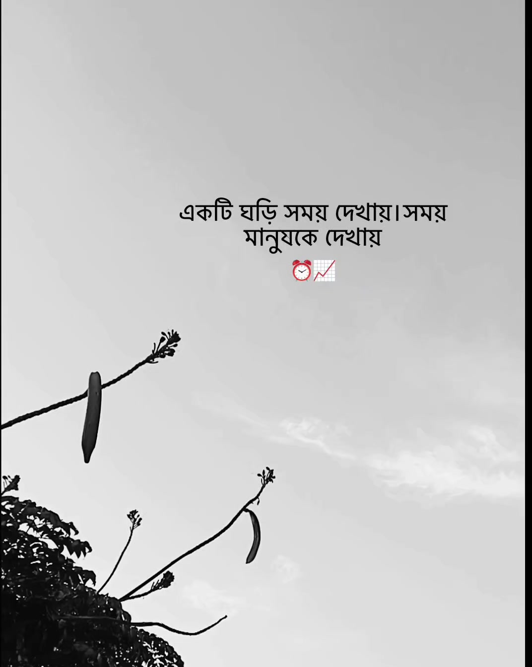 @đđđđĸđ
đ¤