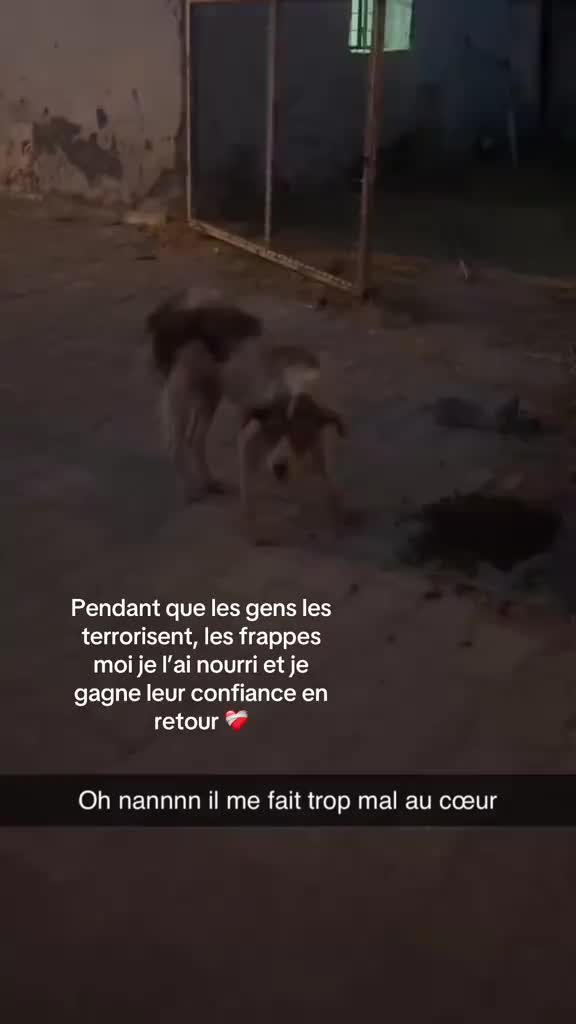 @dln_fr