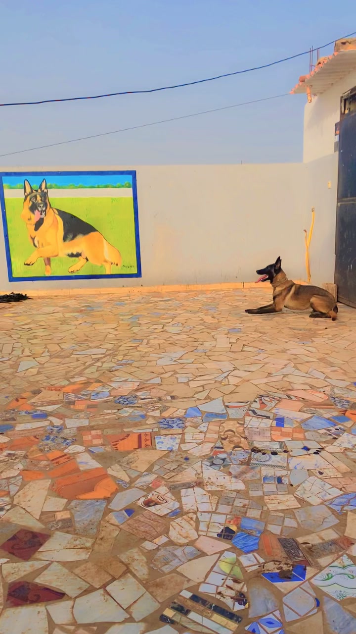 @G.I.C.N 🇸🇳🐾Ma&icirc;tre Weuz🐕&zwj;🦺