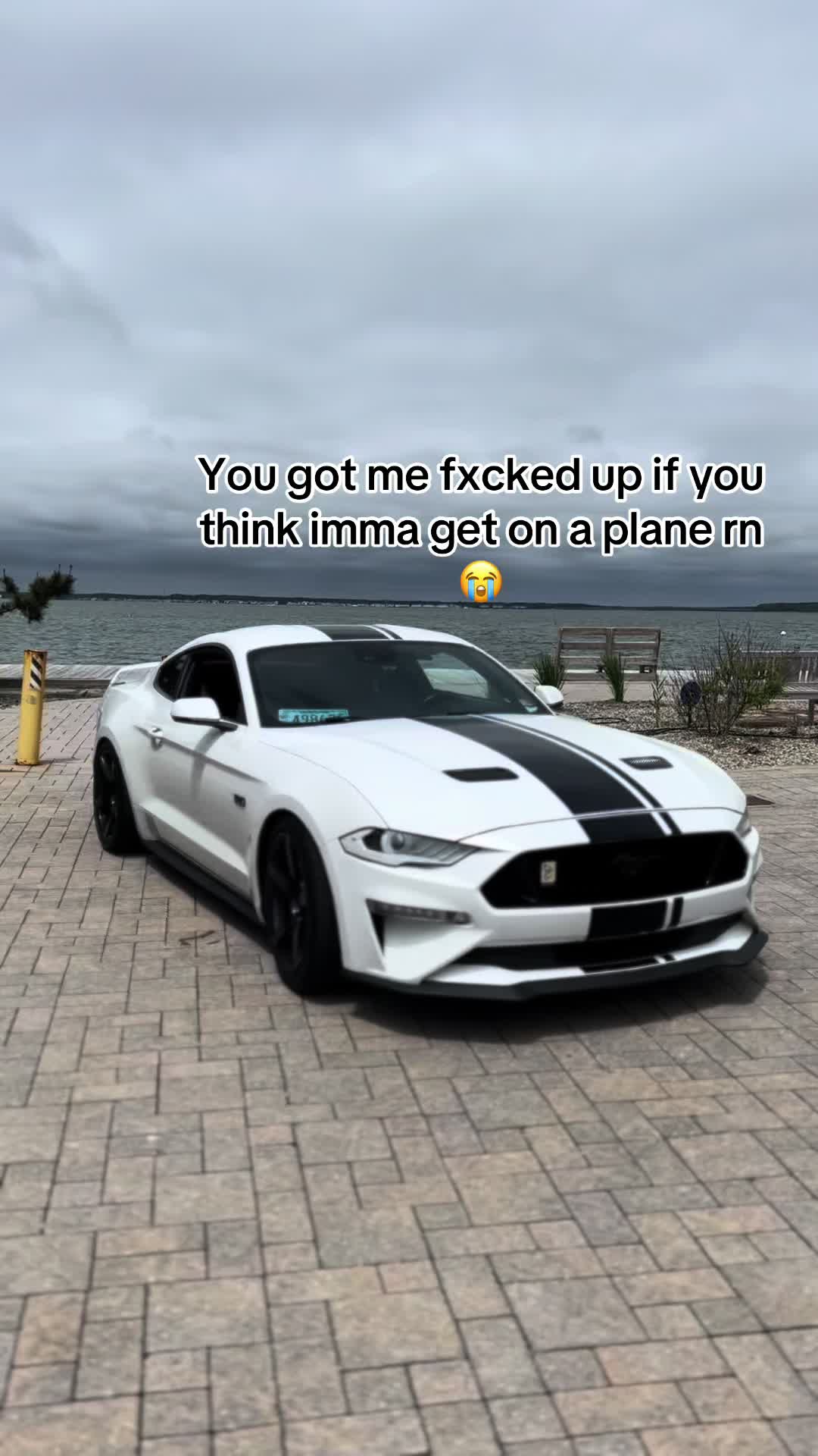@Devon Moran