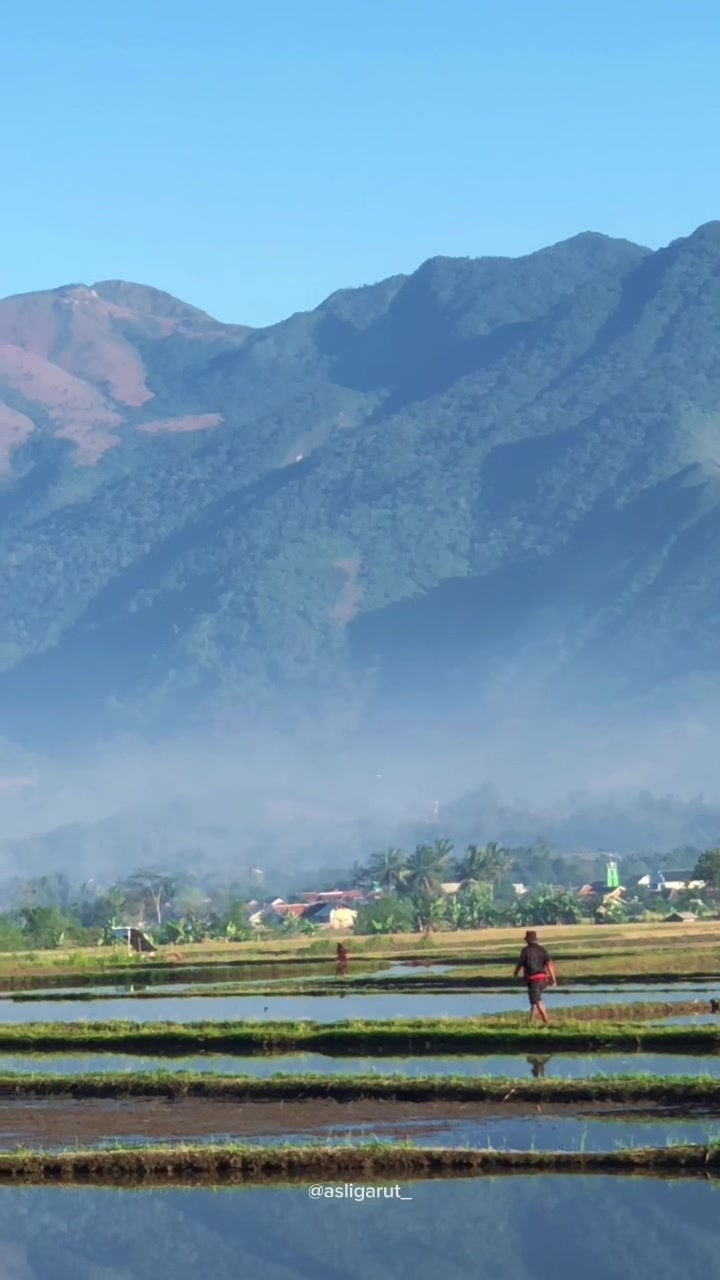 @asligarut___