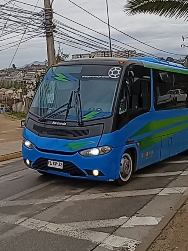 @busologia_wasabi