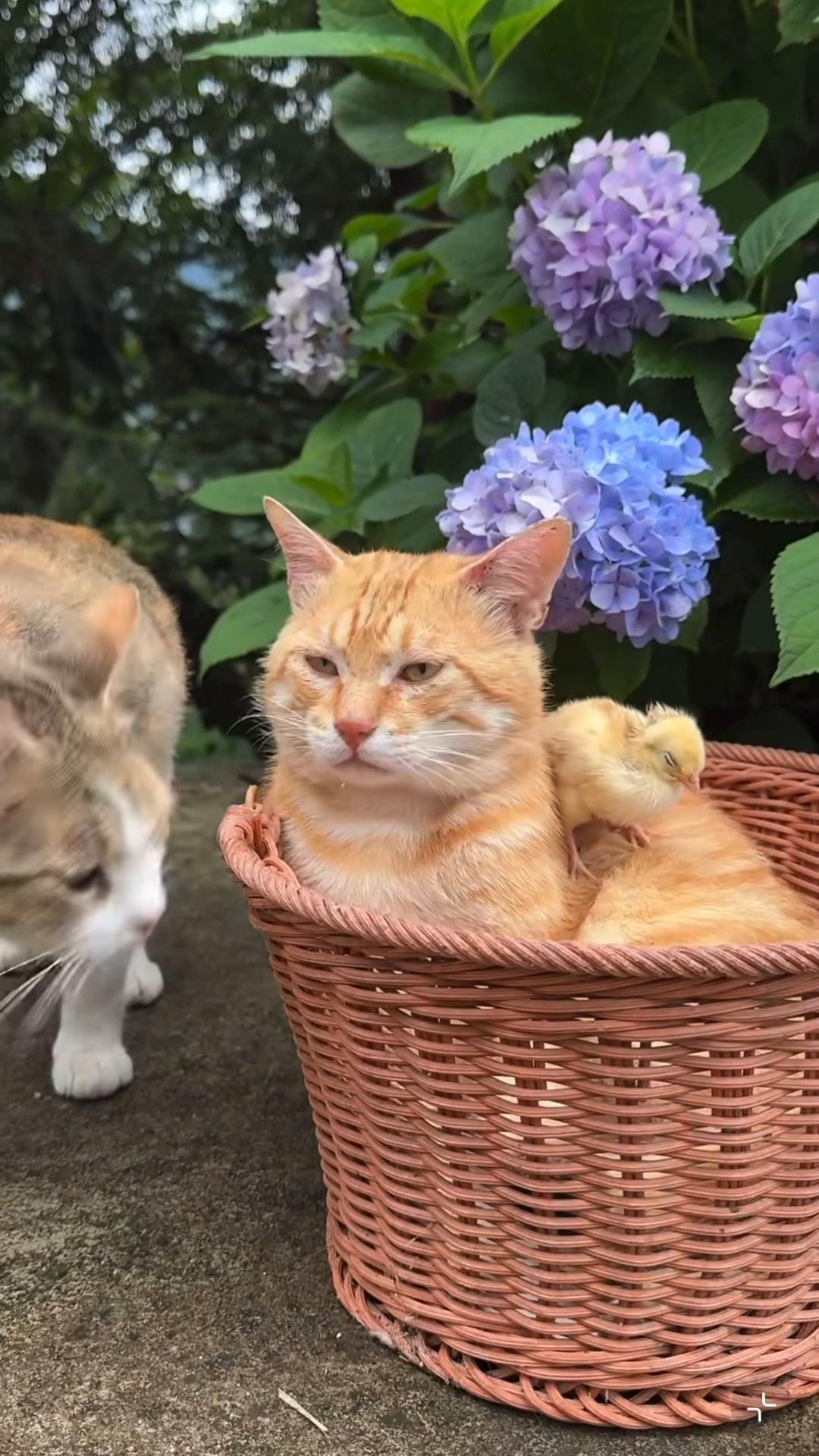 @My Daily Dose of Aww