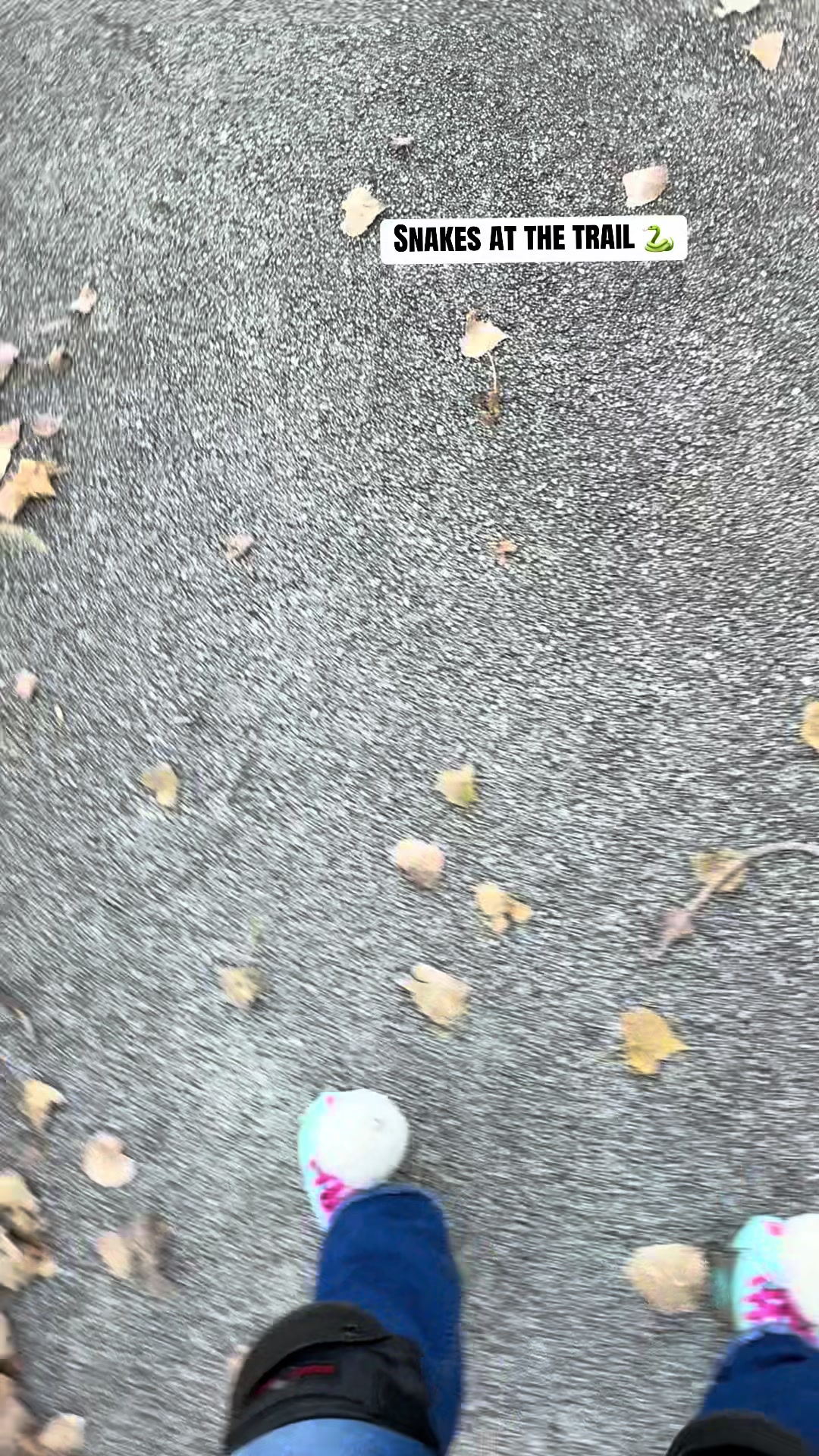 @Maribella🛼🦋