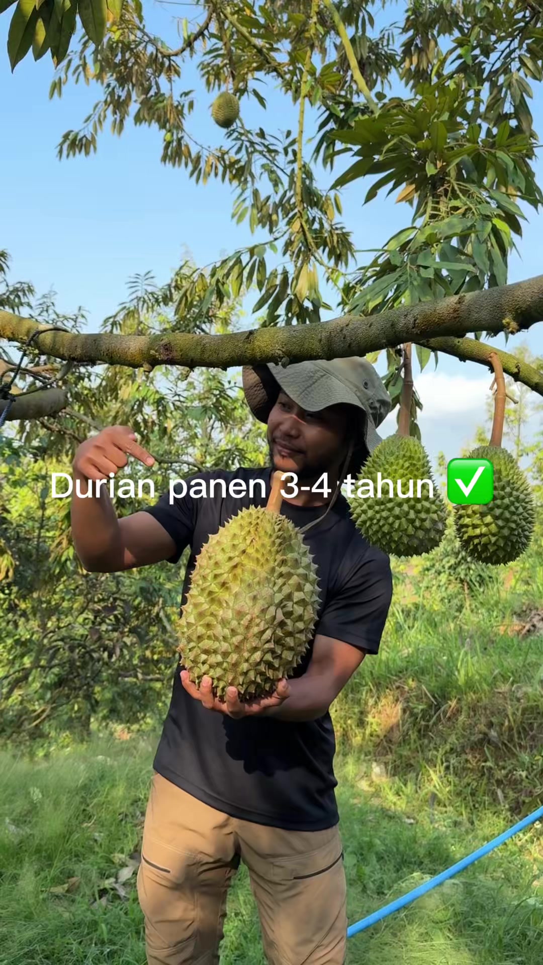 @AA KADU