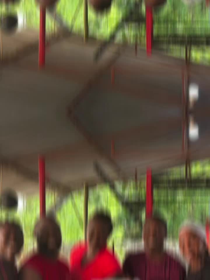 @Sensei Rashid