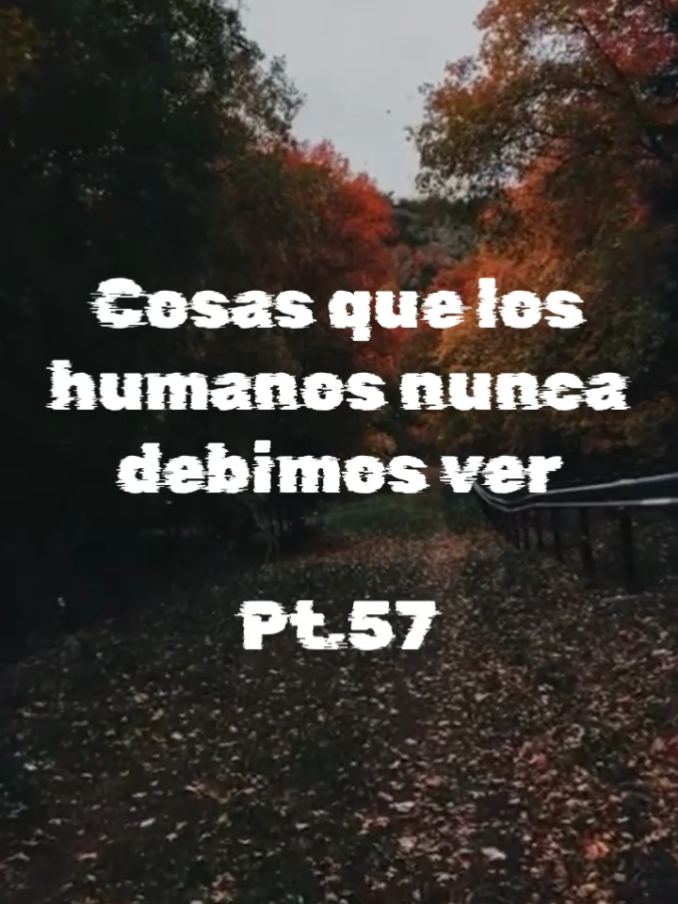 @Categorías Máster