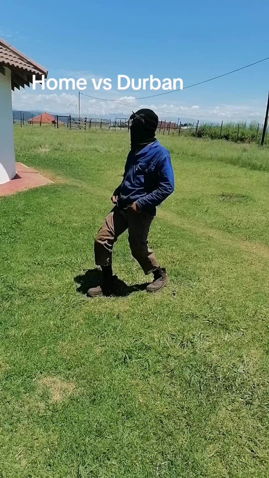 @Sosibo 🦁