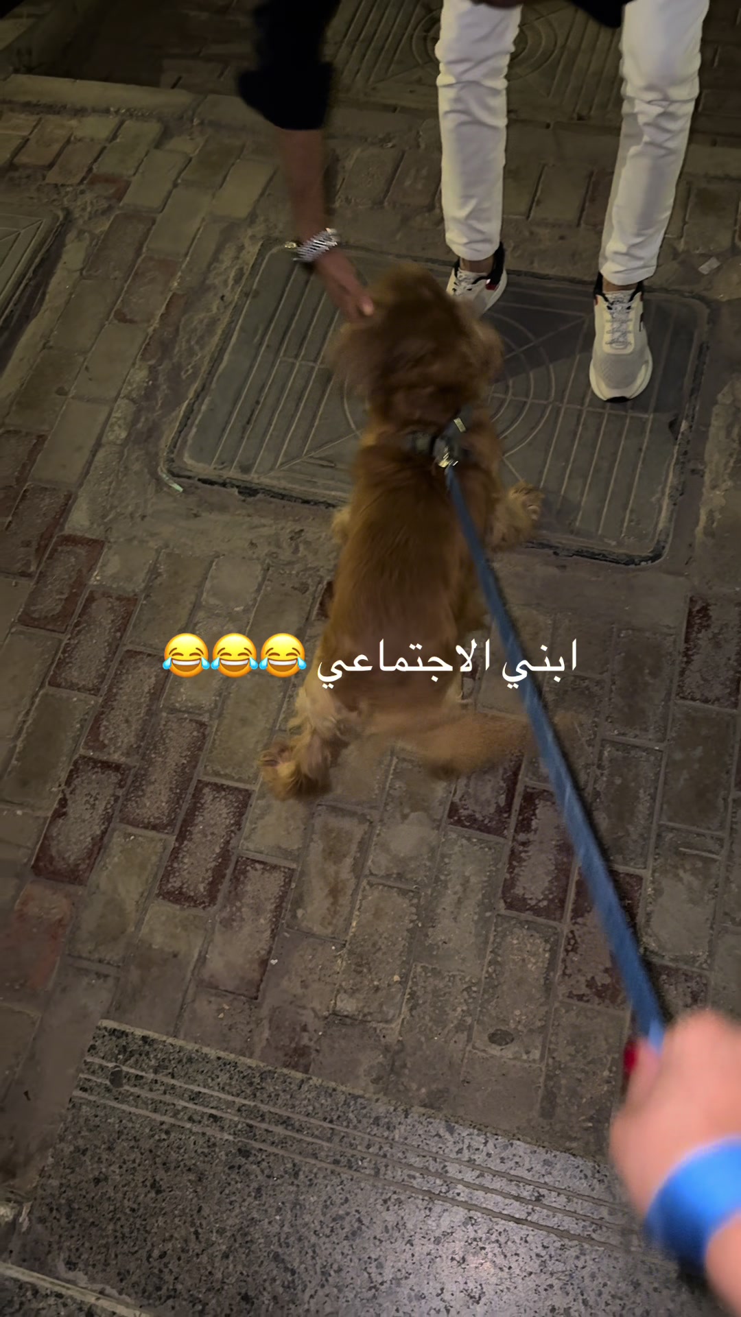 @Jessy Abdelaziz