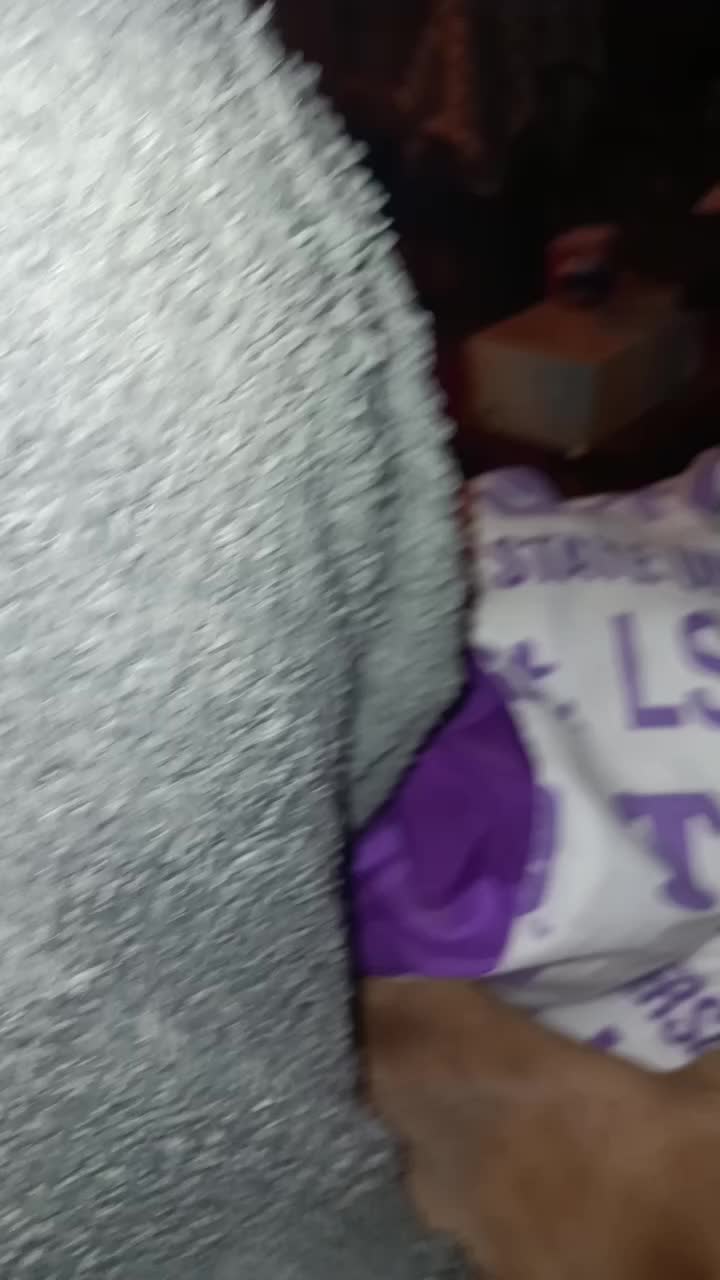 @pandarenee13