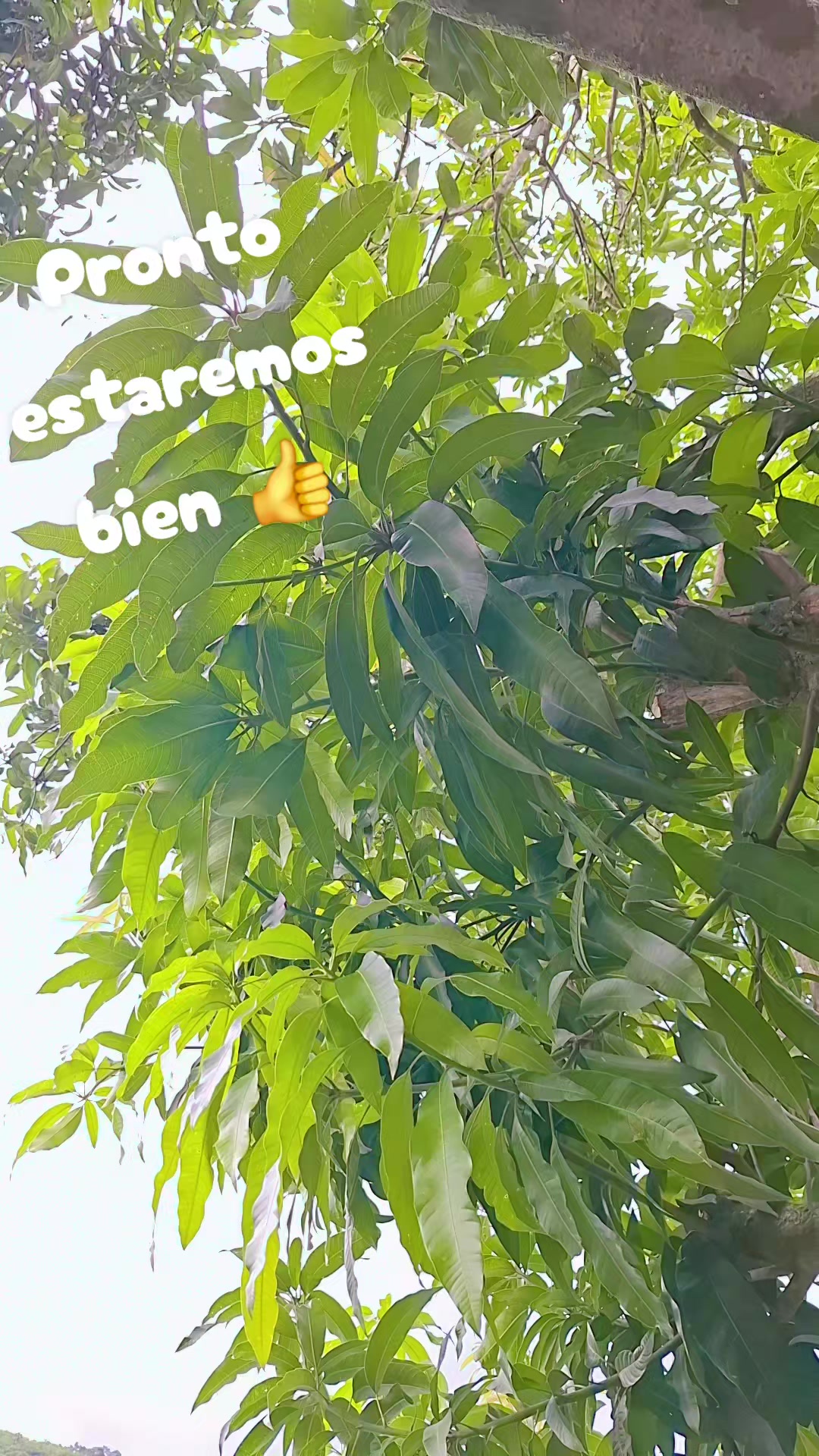 @Ana De La Cruz