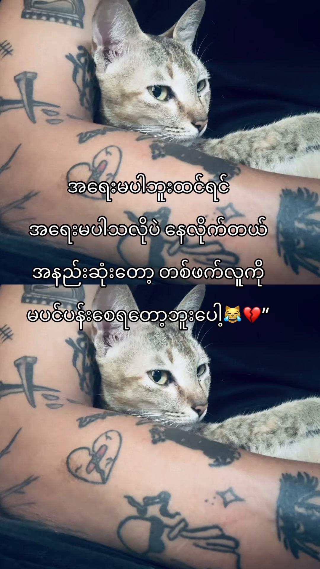 @whyfelix7