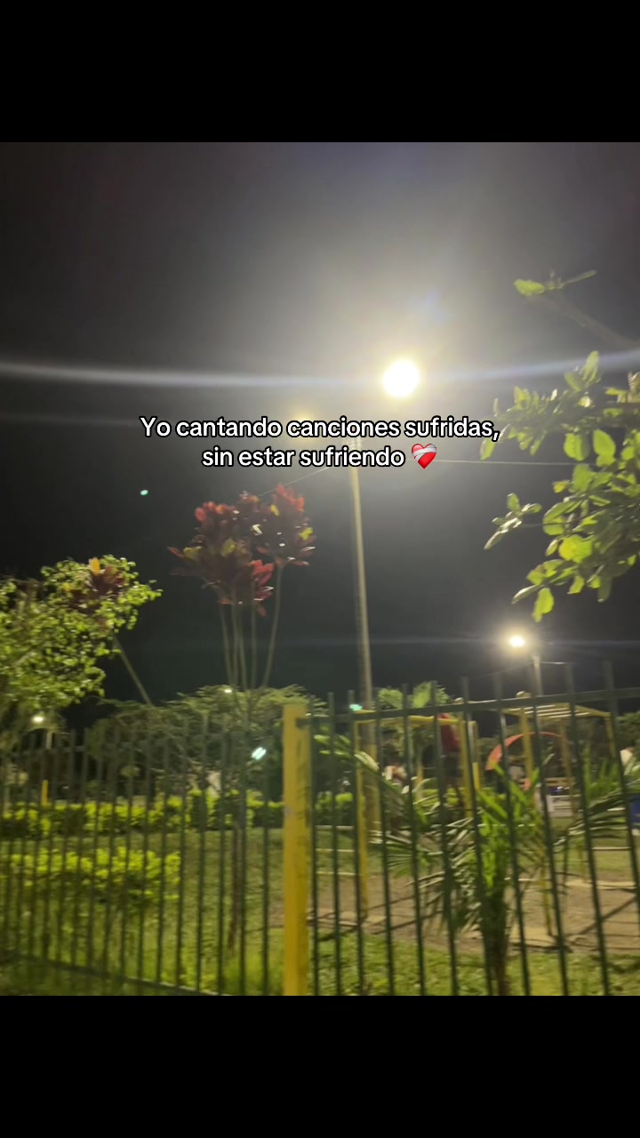 @Mayc 🐯