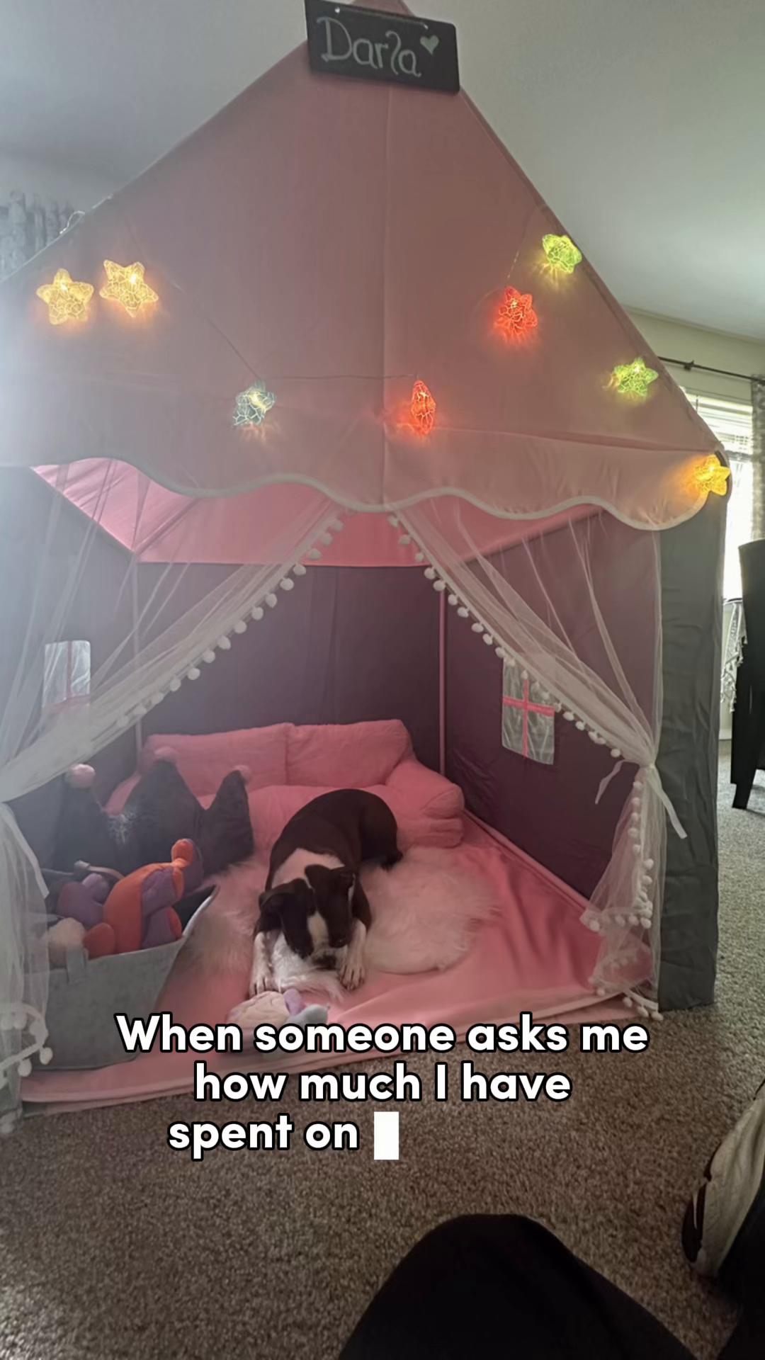 @Susie