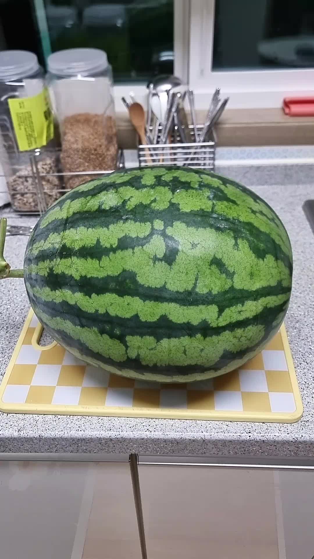 @블랙야크
