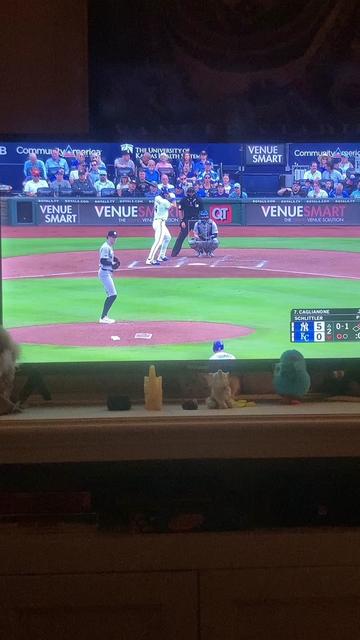 @YankeesMom228x
