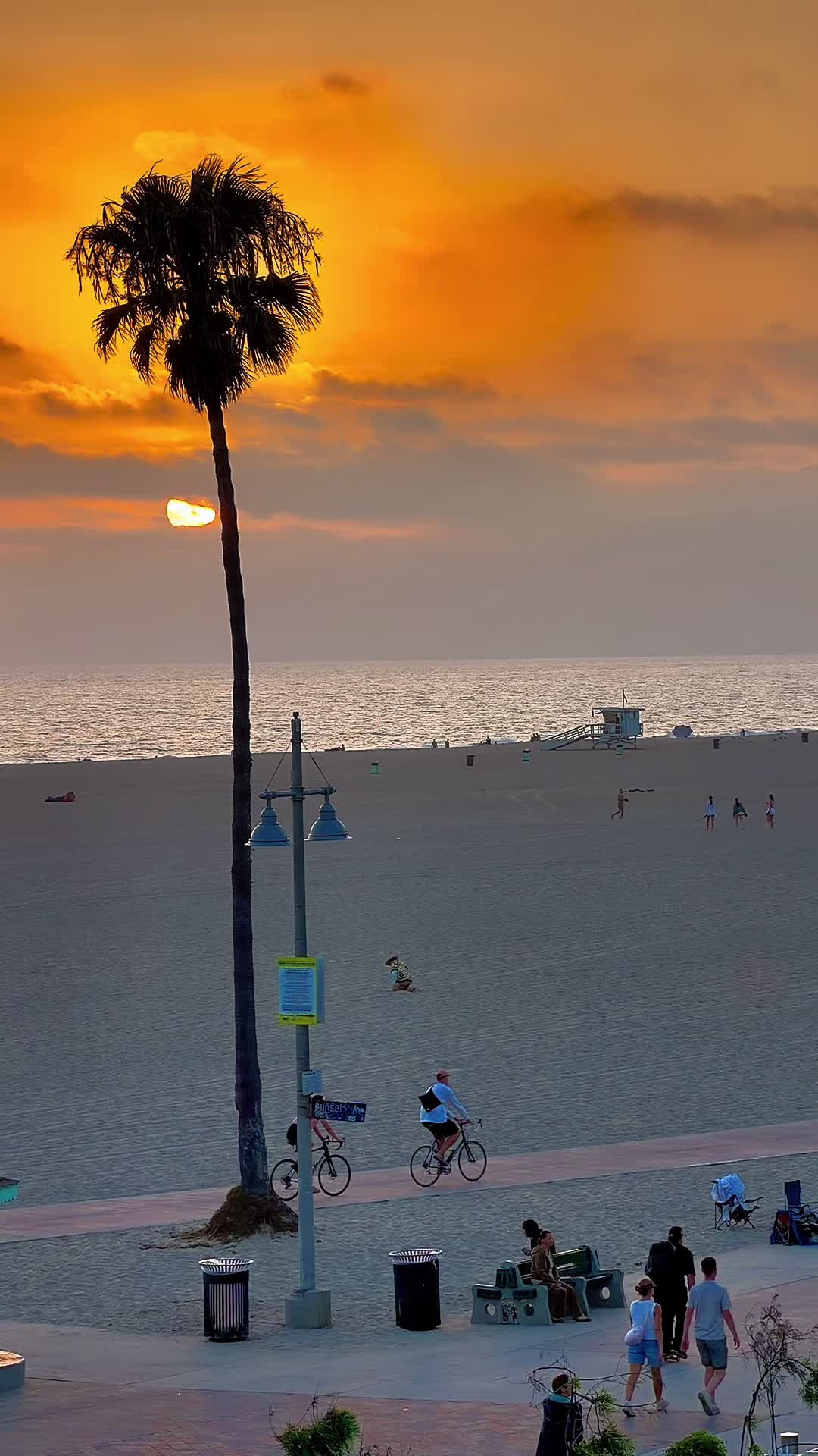 @Venice Beach Boardwalk